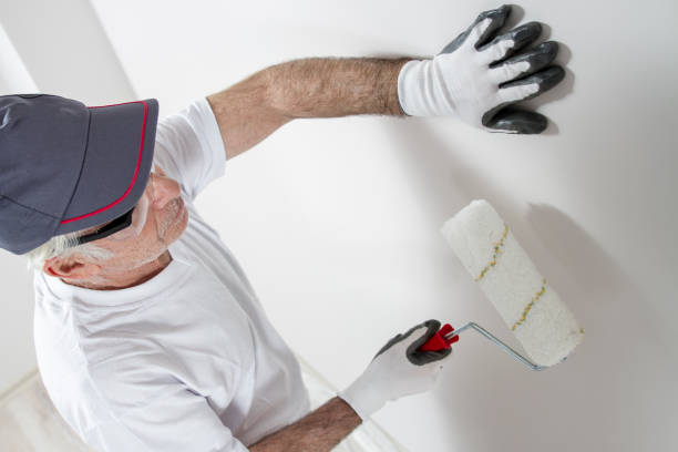 Mold Documentation for Insurance Claims in Lawrenceville, IL