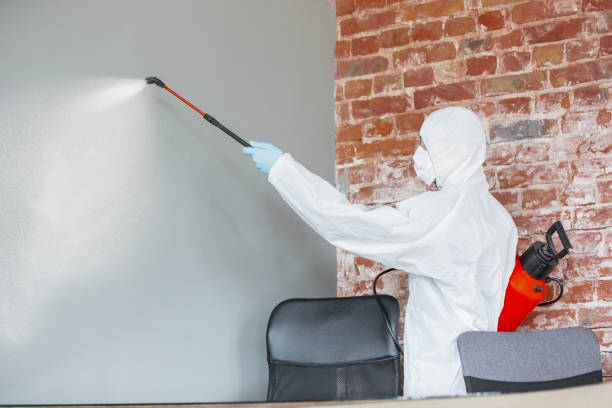 Best Forensic Mold Investigation  in Lawrencevle, IL
