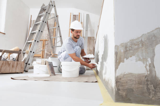 Best Biohazard Mold Removal  in Lawrencevle, IL