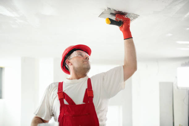 Best Mold Odor Removal Services  in Lawrencevle, IL