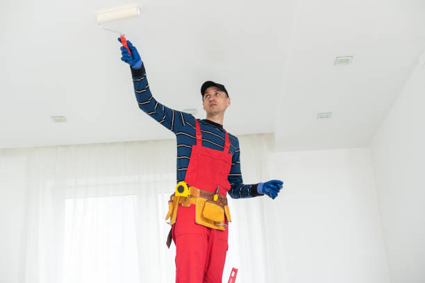 Best Emergency Mold Remediation  in Lawrencevle, IL