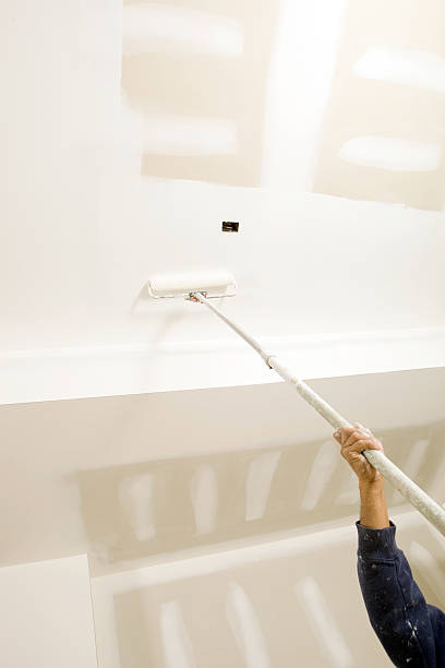 Best Attic Mold Removal  in Lawrencevle, IL