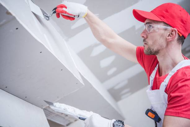 Best Dehumidification Services  in Lawrencevle, IL